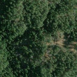 Satellite imagery of Newgate Ridge, US