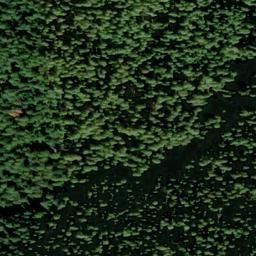 Satellite imagery of Red Gold Mine, US