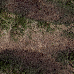 Satellite imagery of Hoovers Ridge, US