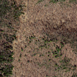 Satellite imagery of Hoovers Ridge, US