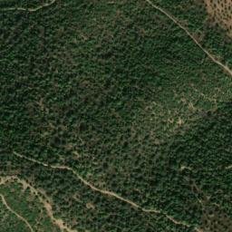 Satellite imagery of survey_point, PT