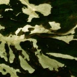 Satellite imagery of survey_point, JP