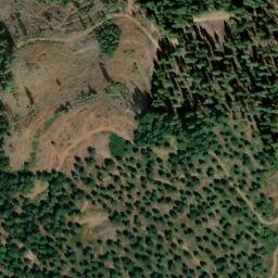 Satellite imagery of Red Gold Mine, US