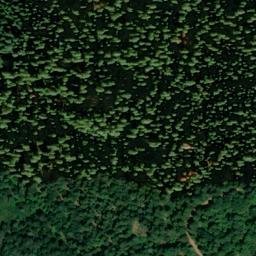 Satellite imagery of Red Gold Mine, US