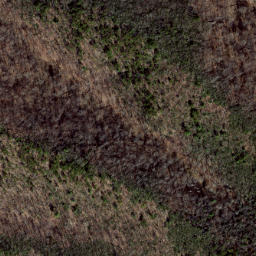 Satellite imagery of Hoovers Ridge, US