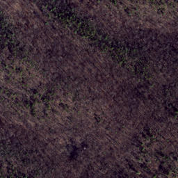 Satellite imagery of Dictum Ridge, US