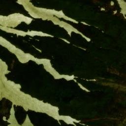 Satellite imagery of survey_point, JP