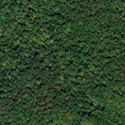 Satellite imagery of Turkey Ridge, US