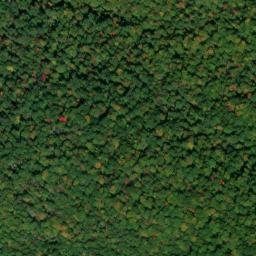 Satellite imagery of Turkey Ridge, US