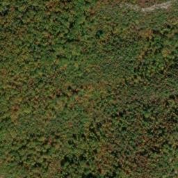 Satellite imagery of Dog Slaughter Ridge, US