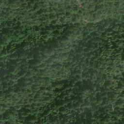 Satellite imagery of Devils Backbone, US