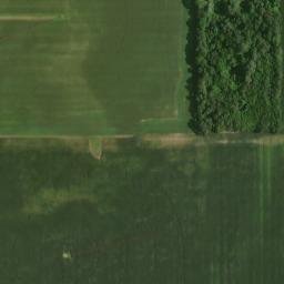 Satellite imagery of Cane Ridge, US