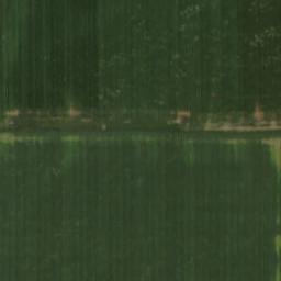 Satellite imagery of Cane Ridge, US