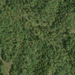 Satellite imagery of Morton Ridge, US