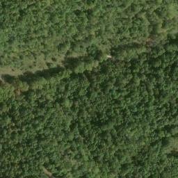 Satellite imagery of Morton Ridge, US