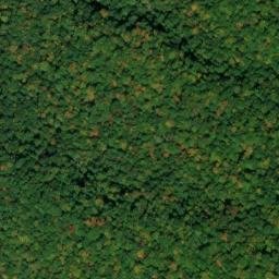 Satellite imagery of Turkey Ridge, US