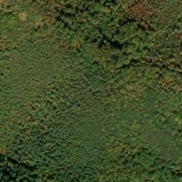 Satellite imagery of Dog Slaughter Ridge, US