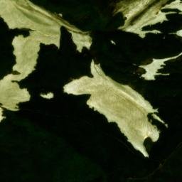 Satellite imagery of 姥ヶ岳, JP