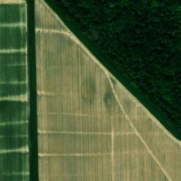 Satellite imagery of Rutgers Bluff, US