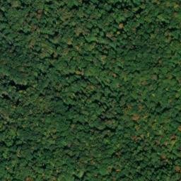 Satellite imagery of Turkey Ridge, US