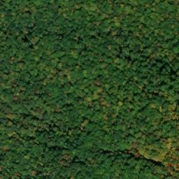 Satellite imagery of Turkey Ridge, US