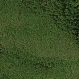 Satellite imagery of Dog Slaughter Ridge, US