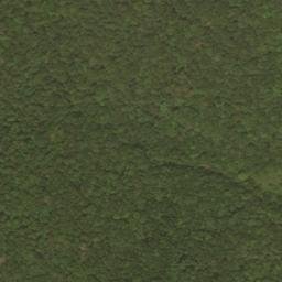 Satellite imagery of Ware Ridge, US