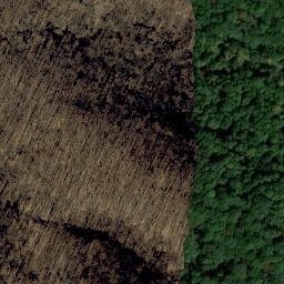 Satellite imagery of Coal Mine Ridge, US