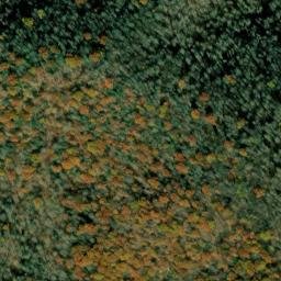 Satellite imagery of Spruce Ridge, US