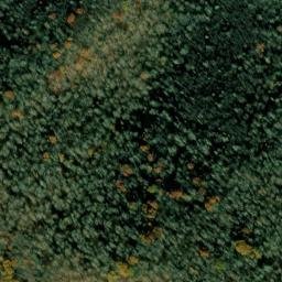 Satellite imagery of Spruce Ridge, US