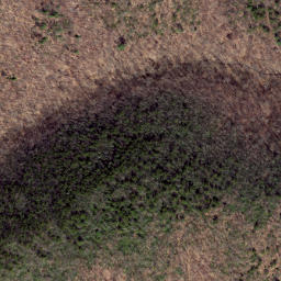 Satellite imagery of Chesnut Ridge, US