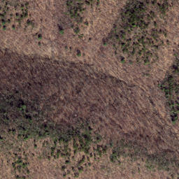 Satellite imagery of Chesnut Ridge, US