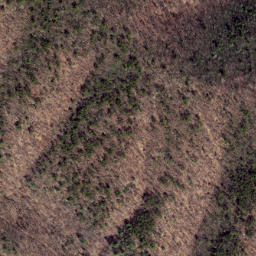 Satellite imagery of Chesnut Ridge, US