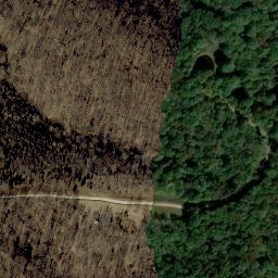 Satellite imagery of Coal Mine Ridge, US