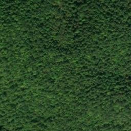 Satellite imagery of Jesse Grants Tanyards Historical Marker, US