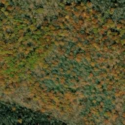 Satellite imagery of Spruce Ridge, US