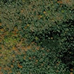 Satellite imagery of Spruce Ridge, US