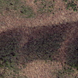 Satellite imagery of Chesnut Ridge, US