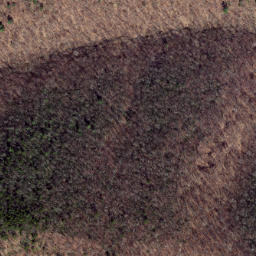 Satellite imagery of Chesnut Ridge, US