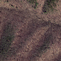 Satellite imagery of Chesnut Ridge, US