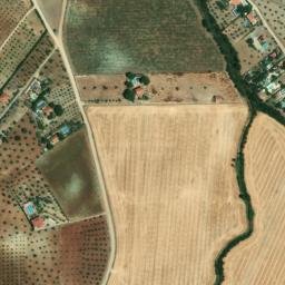 Satellite imagery of survey_point, PT