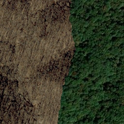 Satellite imagery of Coal Mine Ridge, US