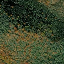 Satellite imagery of Spruce Ridge, US