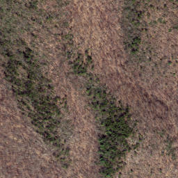 Satellite imagery of Chesnut Ridge, US