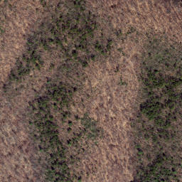 Satellite imagery of Chesnut Ridge, US
