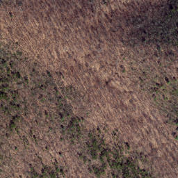 Satellite imagery of Chesnut Ridge, US