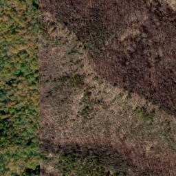Satellite imagery of Little Pond Ridge, US