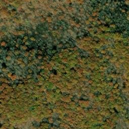 Satellite imagery of Little Spruce Ridge, US