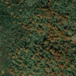 Satellite imagery of Sapling Ridge, US