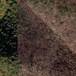 Satellite imagery of Little Pond Ridge, US